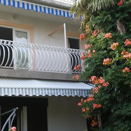 Ljubica Vodice